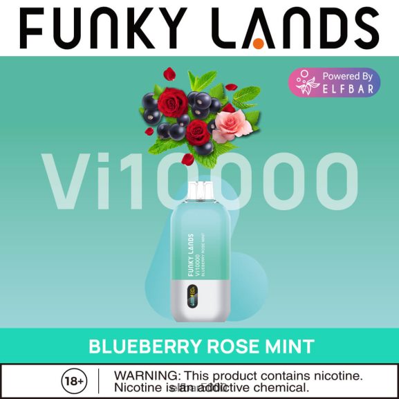 ELFBAR funky lands kertakäyttöinen vape vi10000 suihke 6R28V2465 | Elf Bar 5000 Box mustikka ruusu minttu